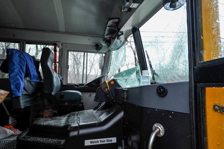 Driver injured when tree falls on bus