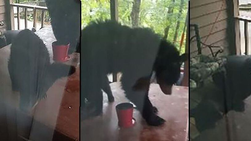 A Georgia man recorded video of a bear and three cubs on his porch. (Photo by WSBTV.com)