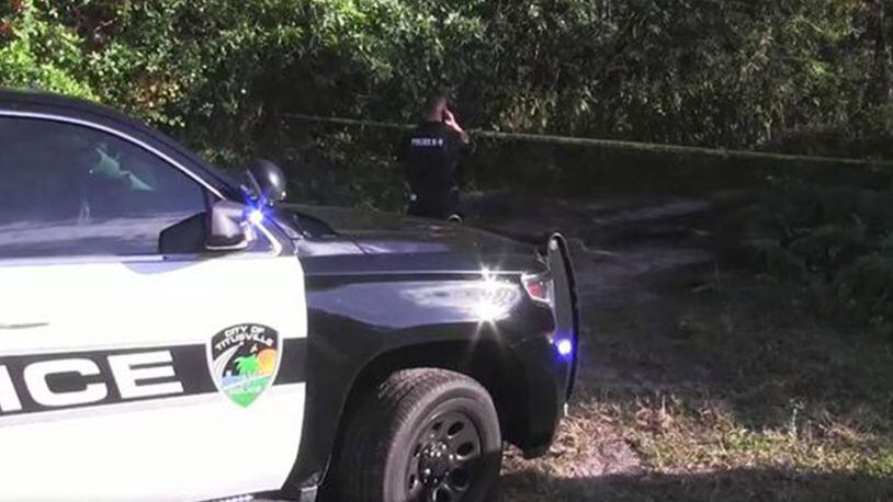 A 9-year-old girl was shot by an older sibling Saturday afternoon while their family was target shooting in Titusville, authorities said.