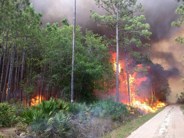 Fighting the Georgia wildfire