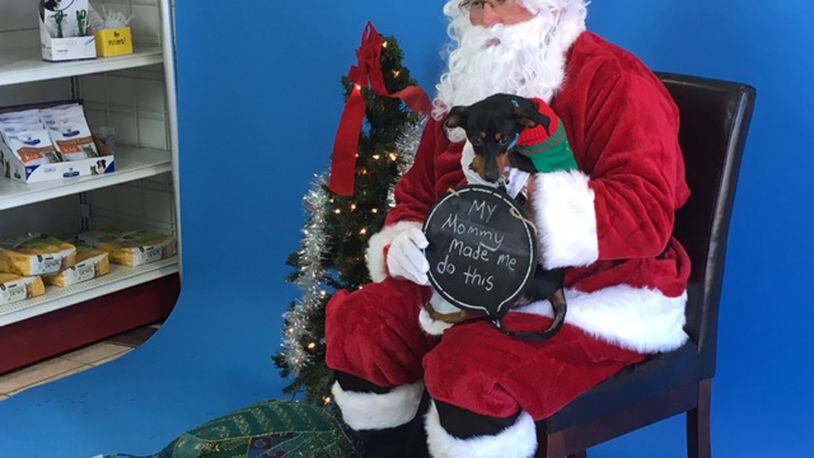 Frankie the Dachshund reluctantly poses with Santa today at West Chester Veterinary Center. LAUREN PACK/STAFF