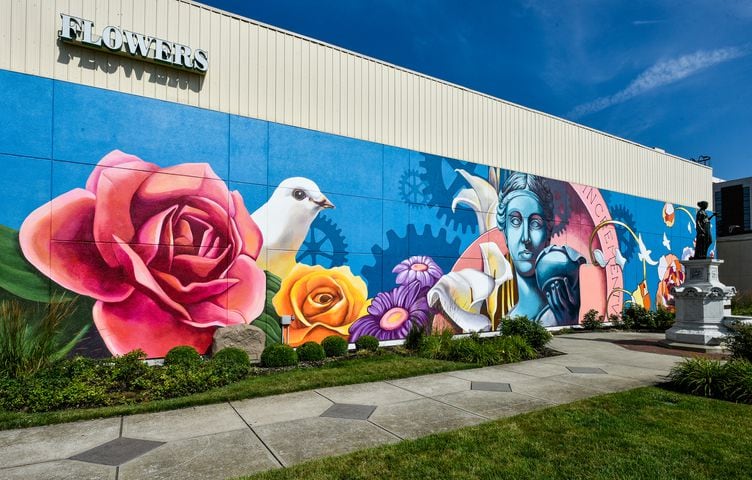 PHOTOS: Tour Hamilton’s unique wall murals that add color throughout the city