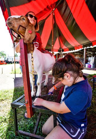 PHOTOS: Butler County Fair 2017