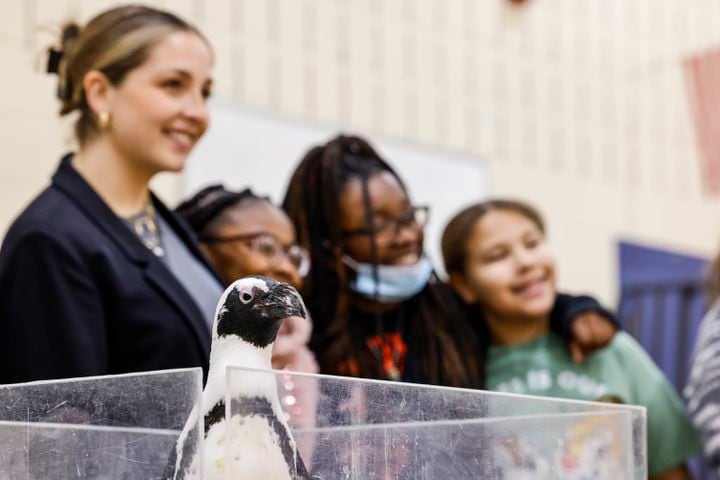 030122 penguin at Creekview elementary