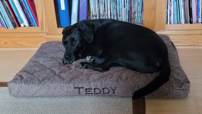 Like the monogram on it says, this bed belongs to Teddy. CONTRIBUTED