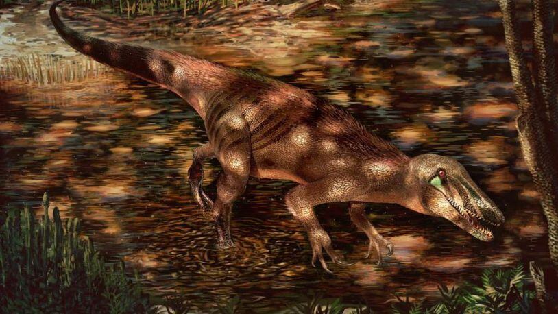 The new predatory dinosaur Tratayenia rosalesi crosses a stream in what is now Patagonia, Argentina roughly 85 million years ago.