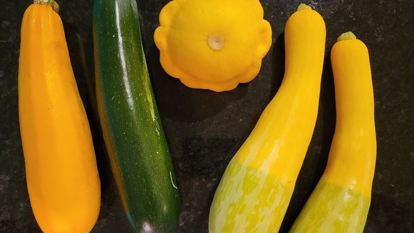 Summer squash and zucchini were once easy to tell apart: Squash was yellow and zucchini was green. However, yellow zucchini has recently appeared at MOON Co-op Grocery and Oxford’s Farmers Market. CONTRIBUTED