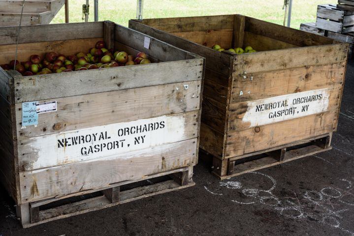 Hidden Valley Orchards