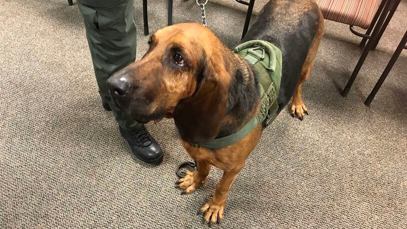 Putnam, a K9 with the Putnam County Sheriff's Office, helped locate a Florida boy who was missing for days. (WFTV.com)