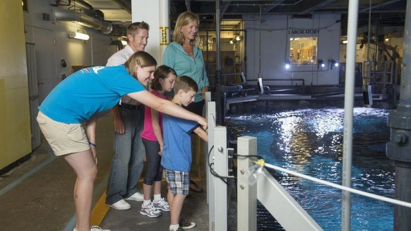 File photo: Newport Aquarium in Northern Kentucky is a popular “learning” destination for many families. CONTRIBUTED