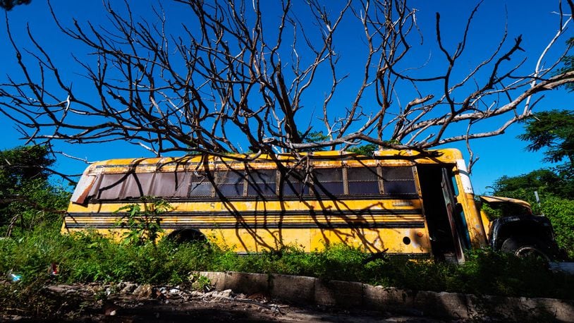 FILE PHOTO: A school bus driven in a Zombie School Bus Race crashed through a fence, nearly hitting spectators.