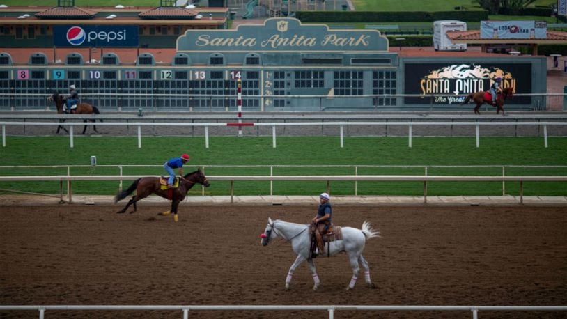 A horse died after exercising Saturday, the 30th equine death since December, at historic Santa Anita Park, leading to the ban of a Hall of Fame trainer, track officials said. (Photo: David McNew/Getty Images)