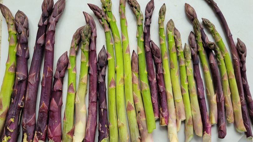 The availability of local asparagus is the most significant signal of seasonal change in Oxford, writes columnist Jim Rubenstein. CONTRIBUTED
