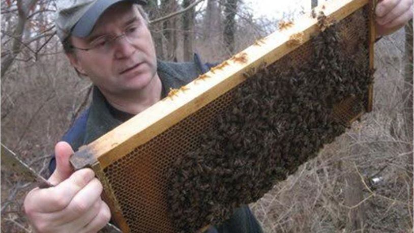 Miami University professor Alexander Zomchek, who is working to breed better honey bees, works with a hive. PROVIDED