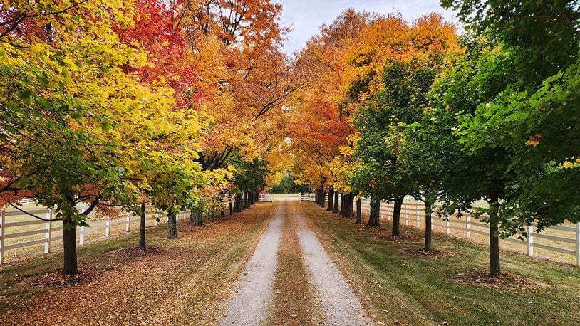 Butler County has been beautiful during the changing of the leaf colors this fall. See more photos like this one by Photojournalist Nick Graham at journal-news.com. We are thankful for your readership.