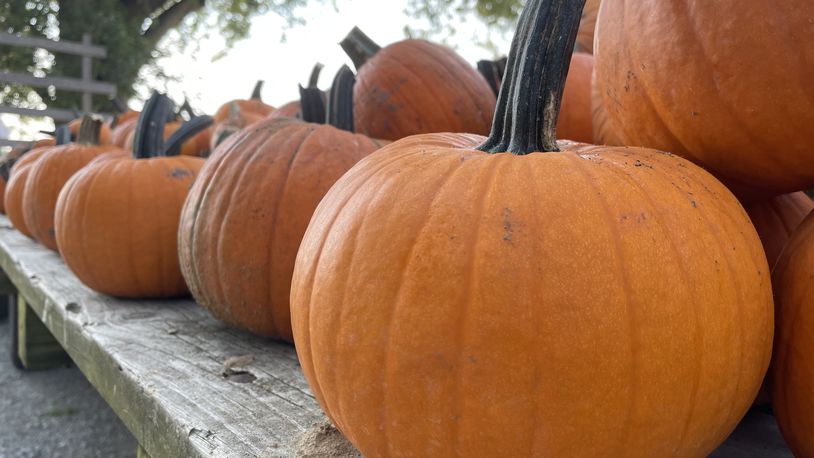 The Oxford pumpkin chuckin’ event is scheduled to occur from 4 to 6:30 p.m. Friday at 6025 Fairfield Road behind the TRI Community Center Complex. FILE