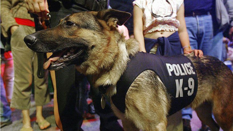 Zilke, a K-9 with the New Jersey Police Department, attends the third annual Search and Rescue and Service Dog Day and Awards for Extraordinary Service to Humanity in 2004 in New York City.