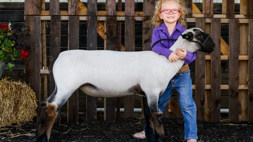 Danielle Lyons, 4, holds her lamb, Johnny, at the Butler County Fair Friday, July 30, 2021 in Hamilton.  NICK GRAHAM / STAFF