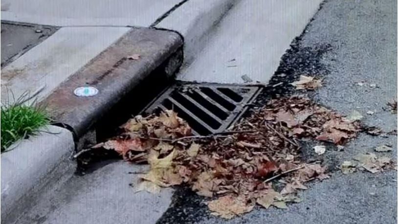 Hamilton is hoping for help from residents and business people to help make sure storm-water catchbasins like this one are kept clear of leaves and trash, which can cause flooding of streets and private properties. PROVIDED