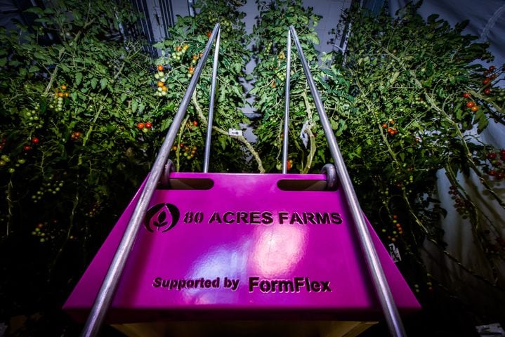 80 Acres Farms now operating in downtown Hamilton