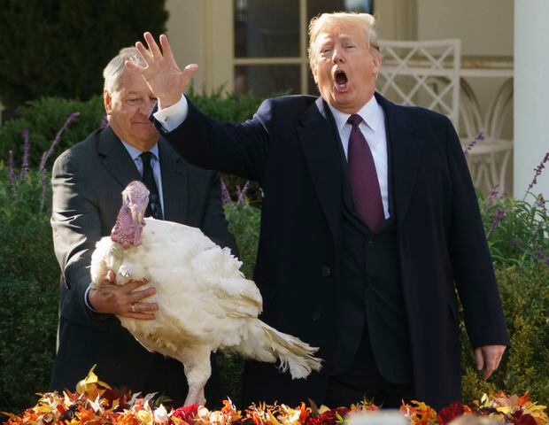 Trump pardons turkeys Peas and Carrots ahead of Thanksgiving