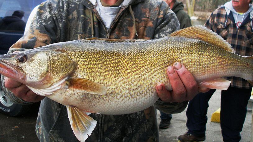 The county prosecutor’s office in Cleveland has opened an investigation into an apparent cheating scandal during a lucrative walleye fishing tournament on Lake Erie last week. Associated Press