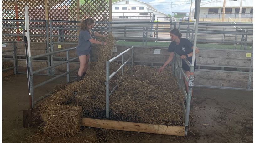 Tori Kenline, left, and Emily Fox, both of Lebanon, spent part of Friday spreading straw through out a pen for dairy cattle in preparation for the 4-H Junior Fair at the Warren County Fair. They said the animals would be arriving in their pen on today July 17.  The Warren County Fair will begin Monday in Lebanon.  ED RICHTER/STAFF