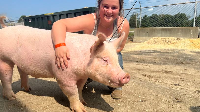 Kaylin Commins, 14, is showing her sister Kenley's pig for her at the Butler County Fair this year. Kenley, 15, is in Cincinnati Children's Hospital Medical Center battling lymphoma.