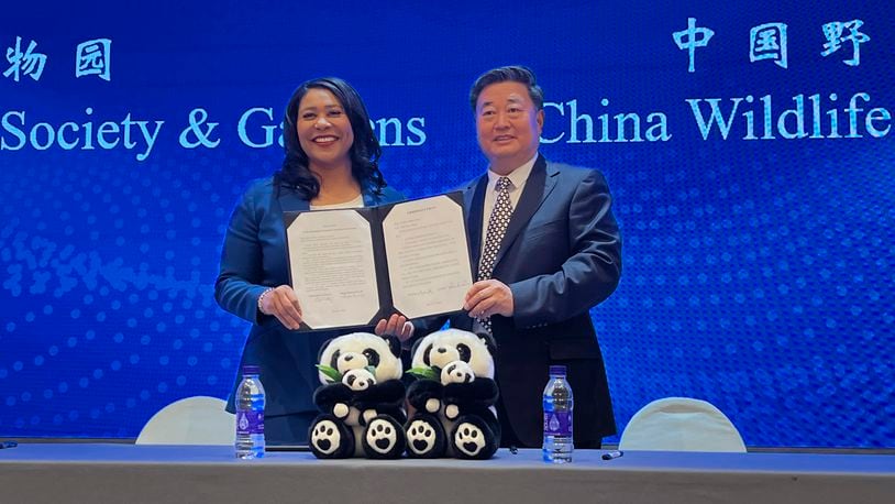 London Breed, left, Mayor of San Francisco and Wu Minglu, Secretary General of China Wildlife Conservation Association (CWCA) hold up an agreement to lease giant pandas for the San Francisco Zoological Society and Gardens during a signing ceremony in Beijing, Friday, April 19, 2024. (AP Photo/Liu Zheng)