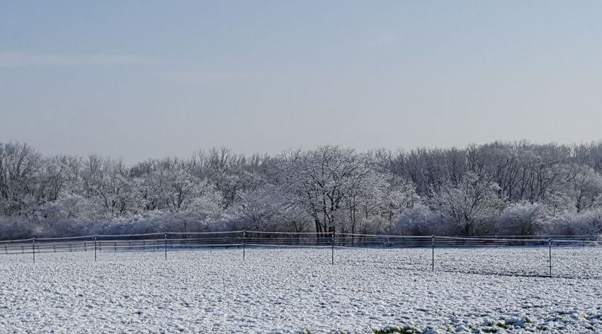 PHOTOS: Miami Valley gets a coating of snow  in April (User-submitted photo)