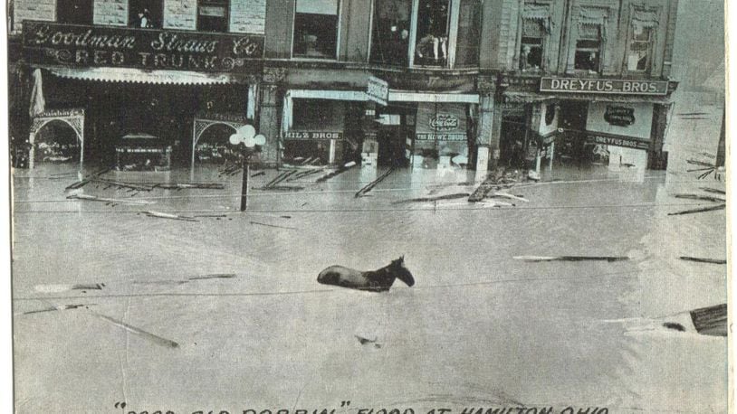 No one knows where he came from, but an old blind horse named Dobbin eventually found his way to safety during the 1913 flood in Hamilton and became one of the iconic figures of the disaster as a result of this post card showing up making his way up High Street.