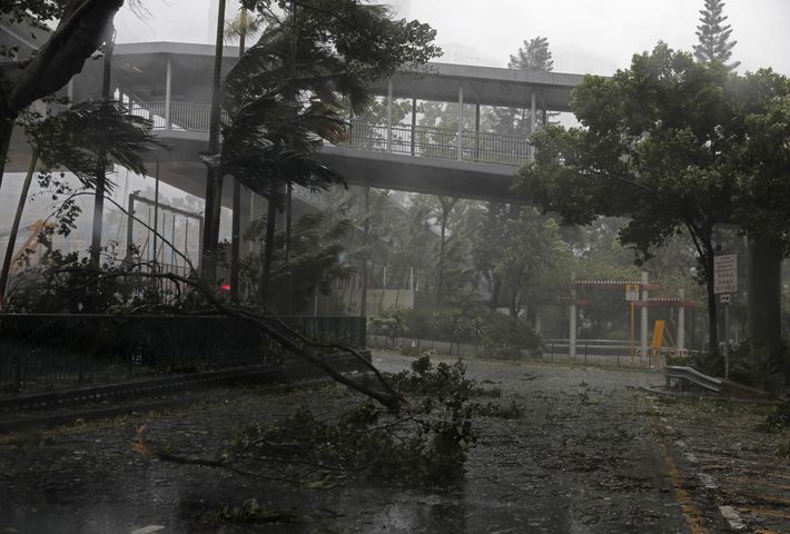 Photos: Typhoon Mangkhut batters Philippines