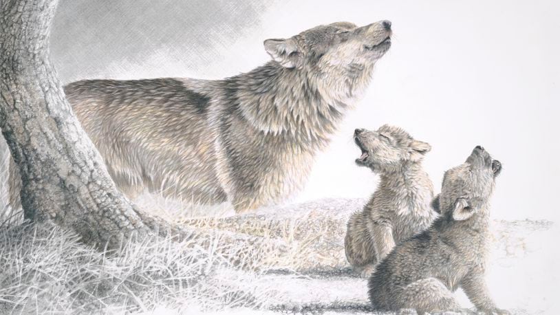 "The Wildlife Art of Christopher B. Walden" is exhibiting at the Middletown Arts Center until oct. 19, 2023. This is one of Walden's works. CONTRIBUTED