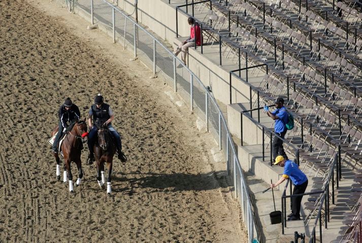 Preakness preview