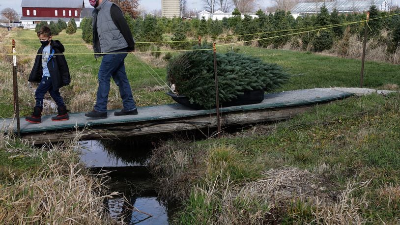 A family pulls the Christmas tree they just cut across a bridge at Carl & Dorothy Young's Christmas Tree Farm last year. BILL LACKEY/STAFF