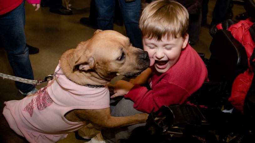 My Furry Valentine, the region’s largest animal adoption event, will host its first-ever summer event at the Sharonville Convention Center. The weekend-long event will feature hundreds of adoptable dogs, cats, puppies, kittens and other small critters from dozens of shelters and rescue organizations in the Greater Cincinnati area. CONTRIBUTED