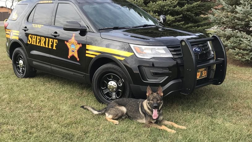 Logan County Sheriff’s Office K-9 ‘Cane’ died unexpectedly last week after only a few months on the job. The Sheriff’s Office will take on another K-9, but is planning a memorial for Cane. CONTRIBUTED.