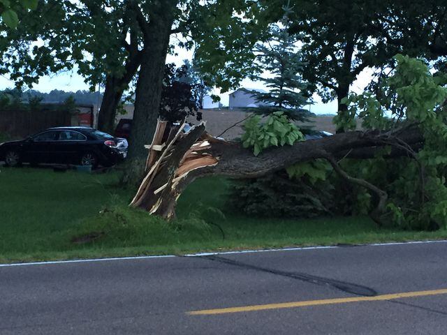 Damage on Bellefontaine Road