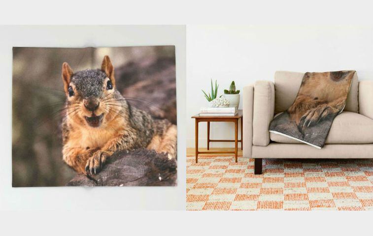 Holiday gag gifts: Squirrel blanket