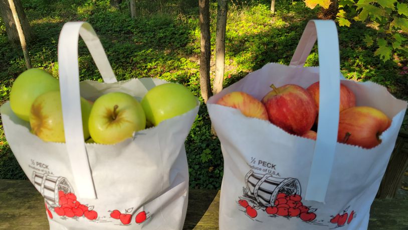 Apples are the focus of area fall festivals. CONTRIBUTED