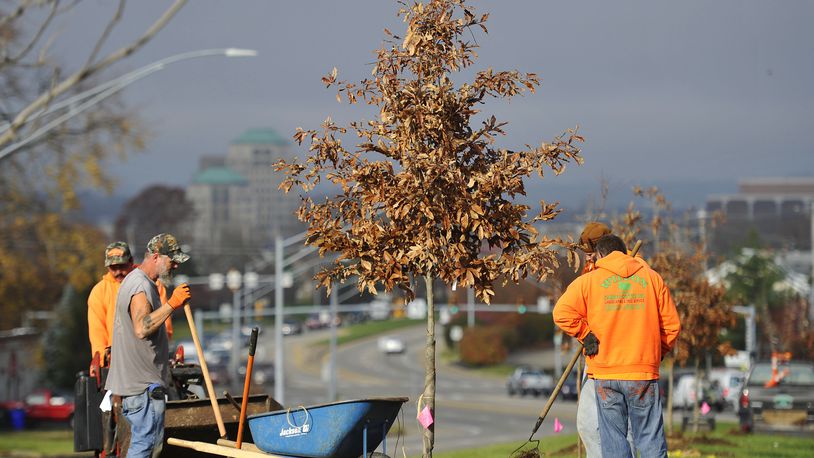 A crew with Wilson Garden Center Inc. plants trees last November along the median of Ohio 129 in Hamilton. They planted trees in several areas as part of the city’s ongoing efforts to beautify entrances to the city. NICK GRAHAM/STAFF