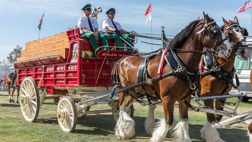 FILE PHOTO: The Budweiser Clydesdale red wagon is seen during day 1 of 2014 Stagecoach: California's Country Music Festival at the Empire Polo Club on April 25, 2014 in Indio, California.  (Photo by Rich Polk/Getty Images for Stagecoach)