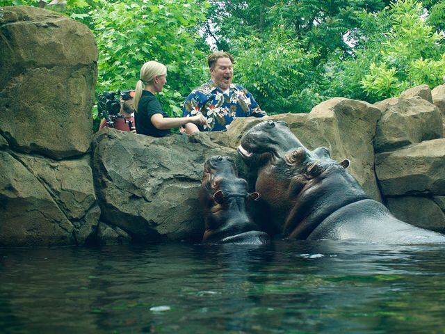 Fiona the hippo’s episode of ‘Man v. Food’ airs tonight