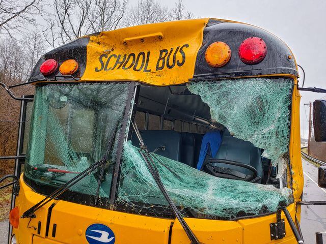Driver injured when tree falls on bus