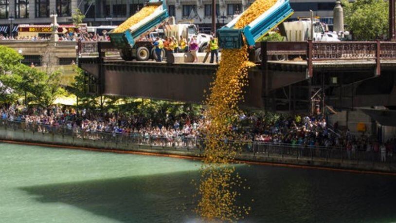 More than 63,000 rubber ducks were dumped into the Chicago River for the 14th annual Ducky Derby on Thursday.