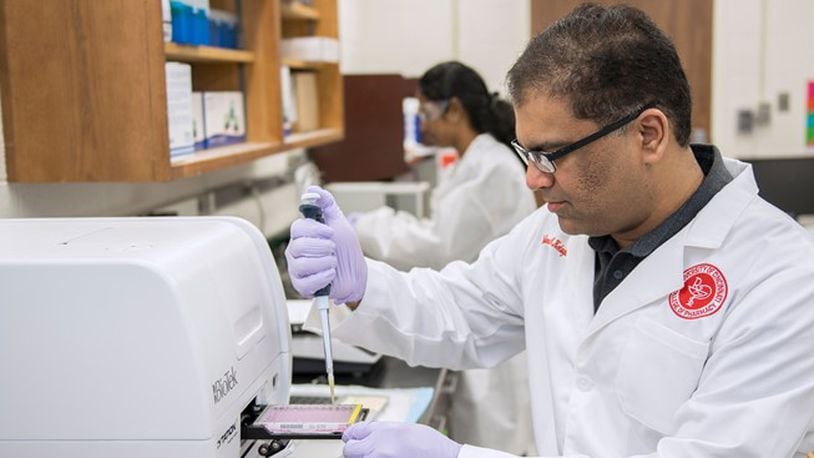 Nalinikanth Kotagiri, PhD, and his team of researchers have developed a new probiotic bacteria that aims to break down cancer cell walls to make therapies more effective.