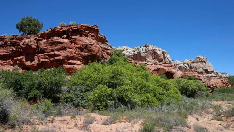 A man was pinned down by a 1-ton boulder at a Colorado state park Friday.