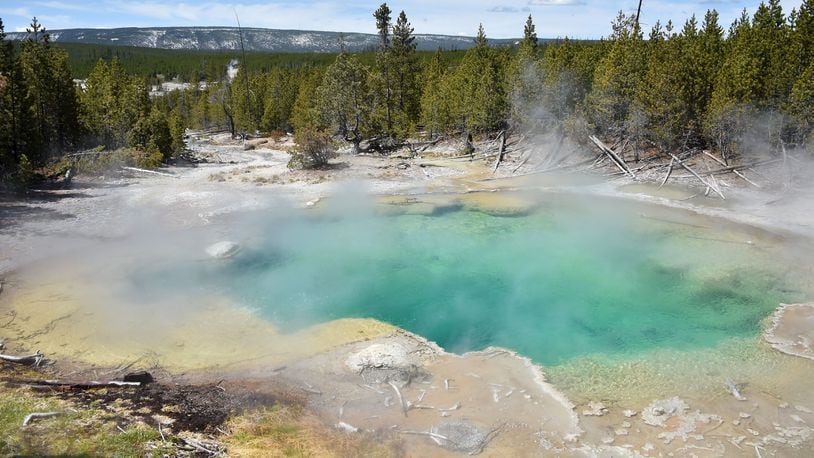 One of the hot springs at the Norris Geyser Basin at Yellowstone National Park on May 12, 2016. [Getty File Photo] (MLADEN ANTONOV/AFP/Getty Images)
