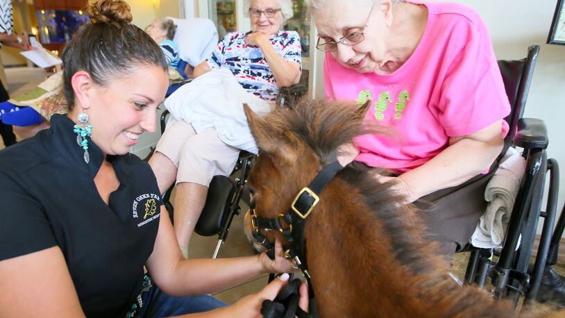 Kate Moad, of Seven Oaks Farm in Ross Twp. and its stable of Miniature Therapy Horses, meets with Virginia Steinmetz and other residents of Covenant Village of Green Twp., a physical therapy rehabilitation center. GREG LYNCH / STAFF