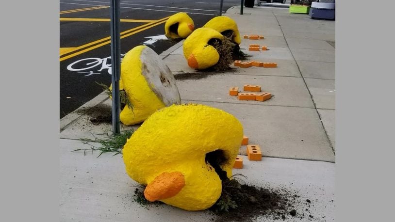 Ducks outside of K12 Gallery and Tejas  were damaged sometime after 2:15 a.m. Saturday, Sept. 15.
